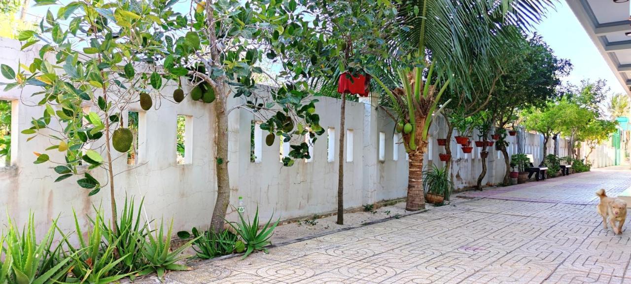 Cat Tien Guesthouse 무이네 외부 사진