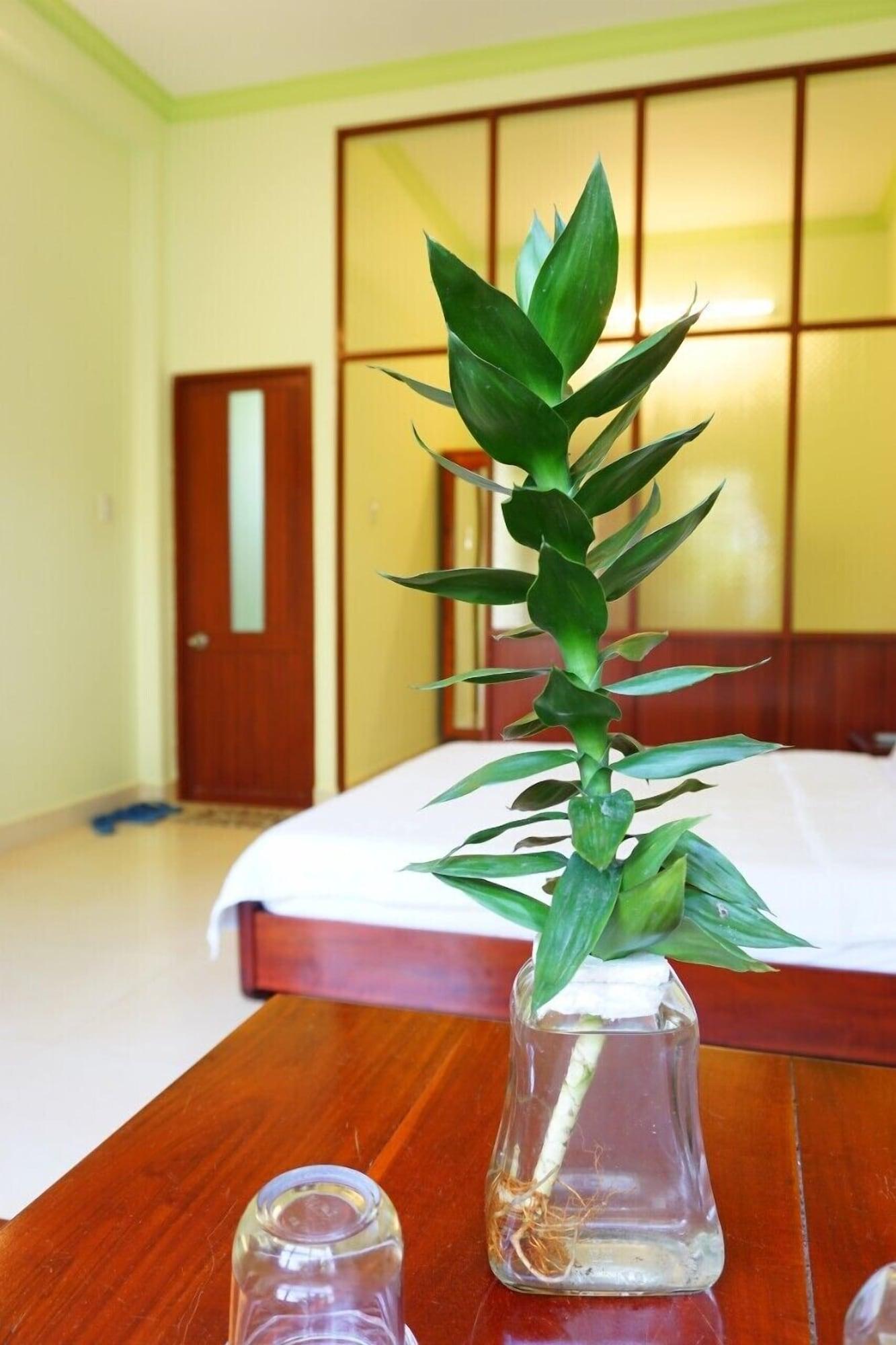 Cat Tien Guesthouse 무이네 외부 사진