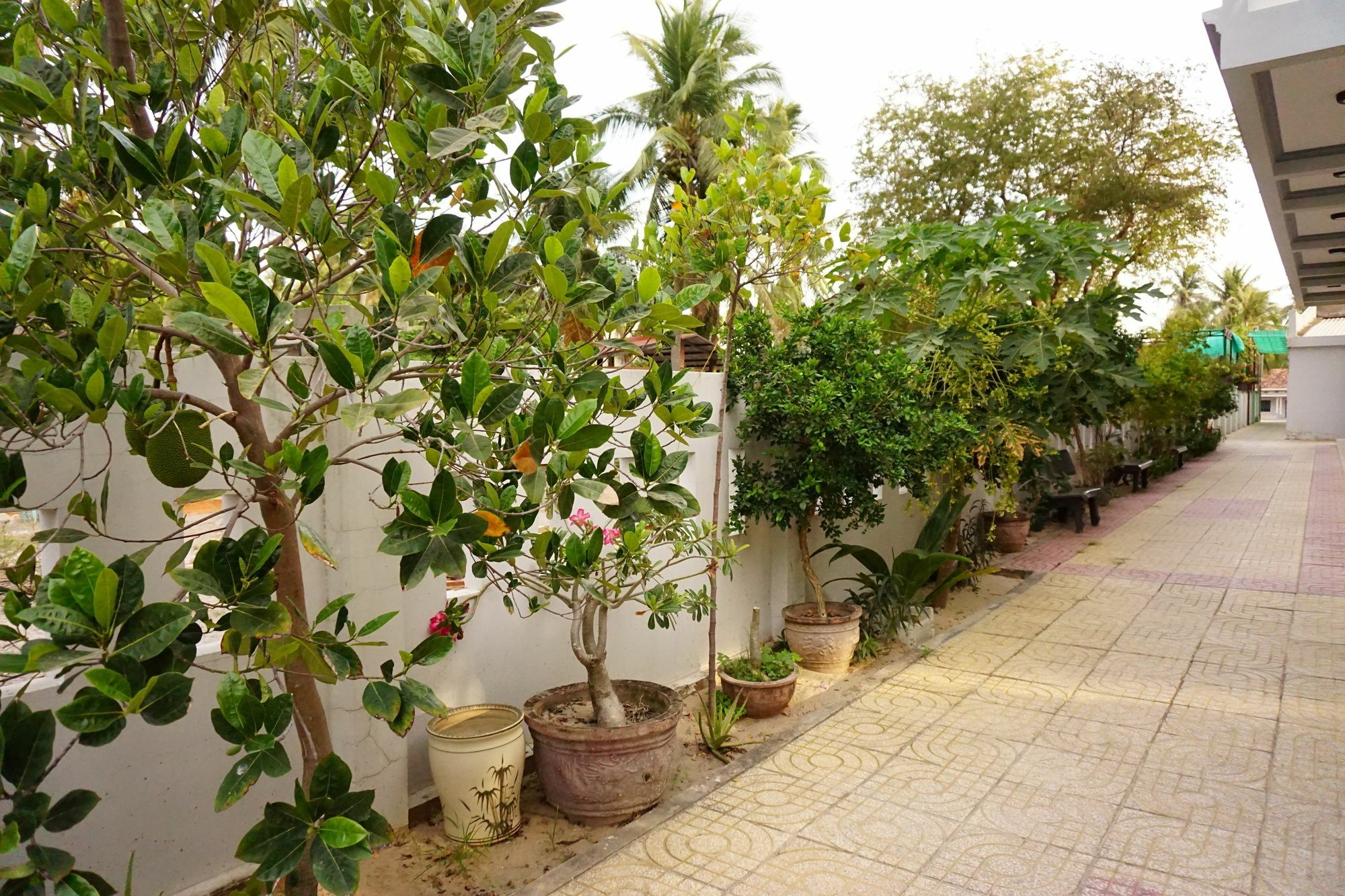 Cat Tien Guesthouse 무이네 외부 사진